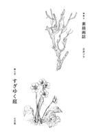 古井フラ 「素描画誌 第七号」